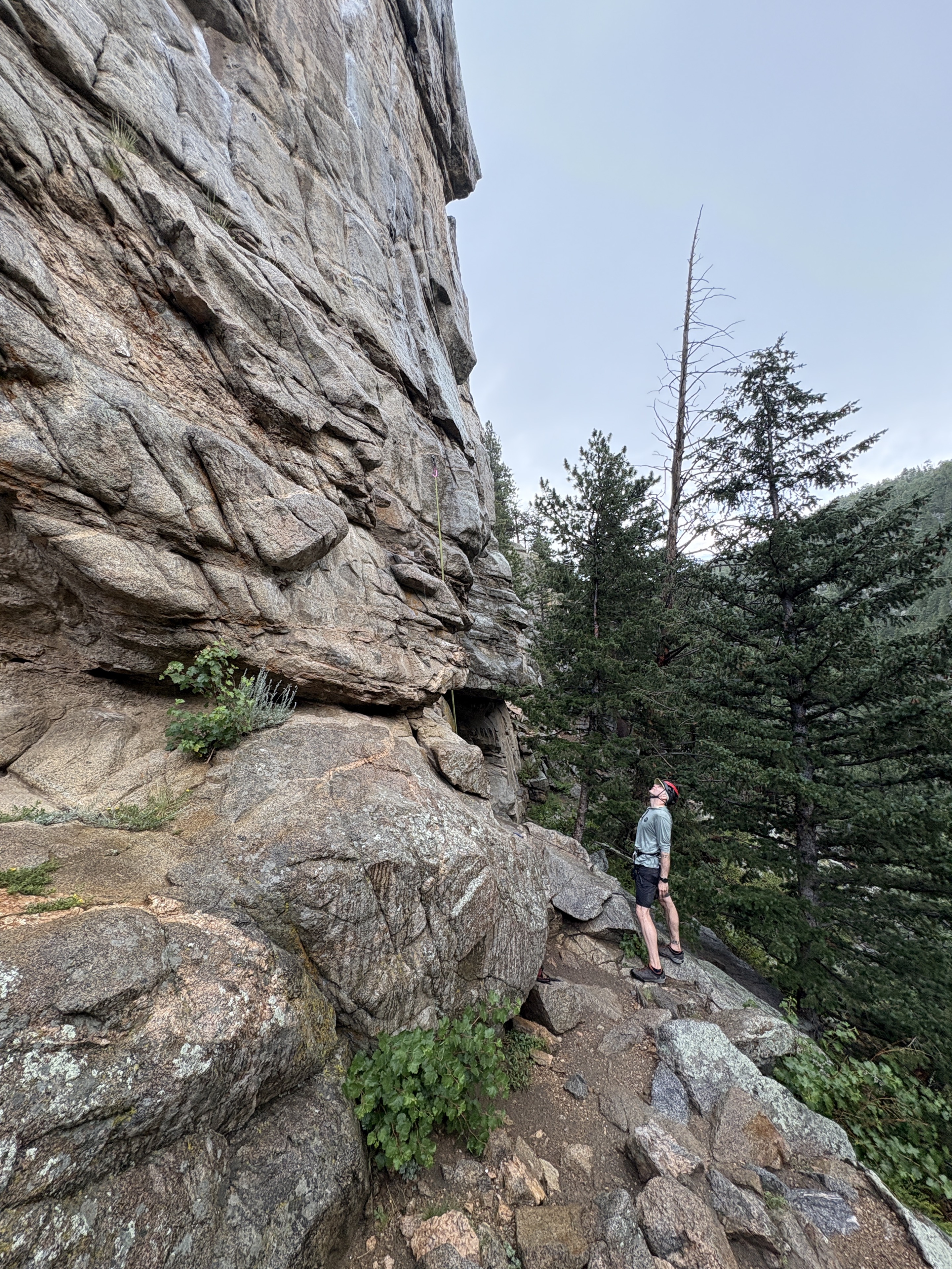 Helmeted climber looking up at a granite crag surrounded by trees